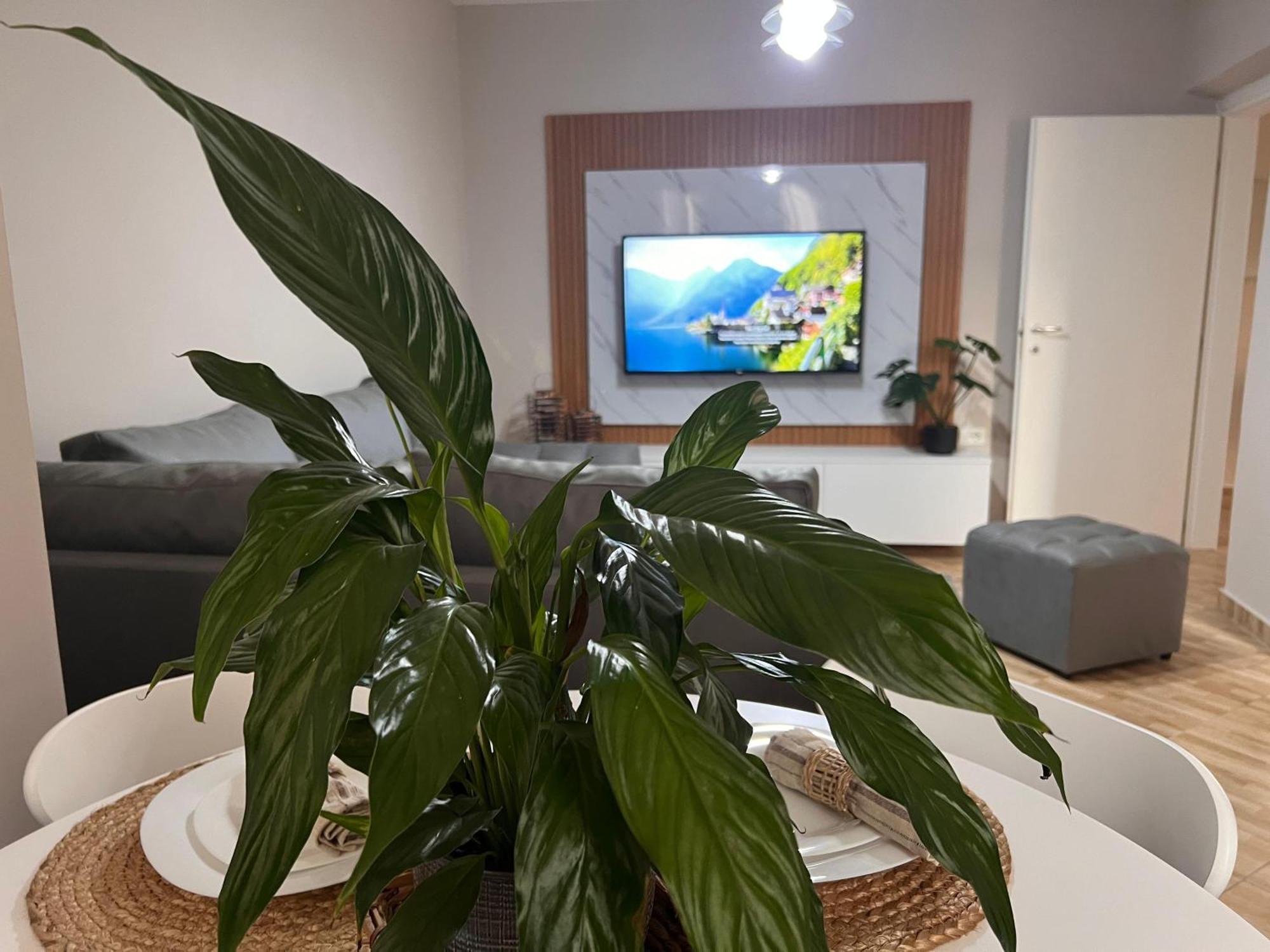 New Modern Tirana Apartment Eksteriør bilde